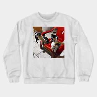 LITTER BROTHERS Crewneck Sweatshirt